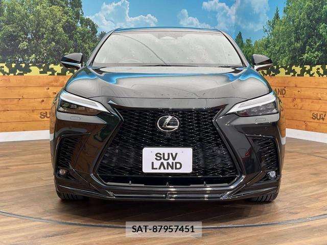 Lexus NX 2022-06 8361662-14
