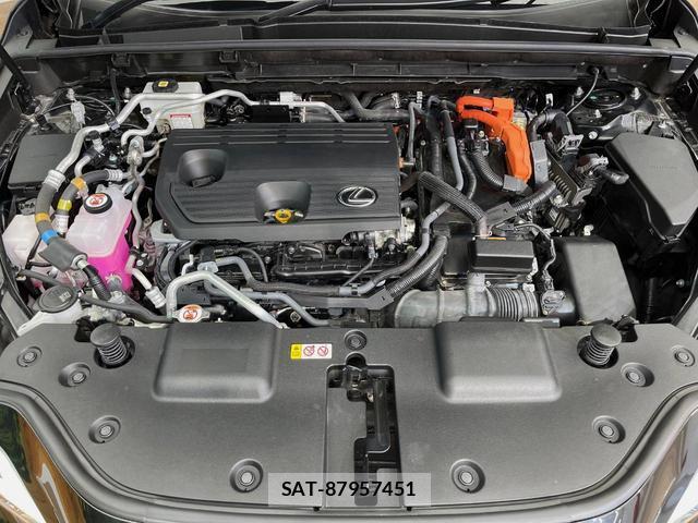 Lexus NX 2022-06 8361662-18