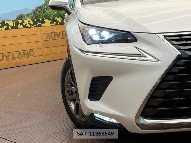 Lexus NX 2018-04 8361739-12
