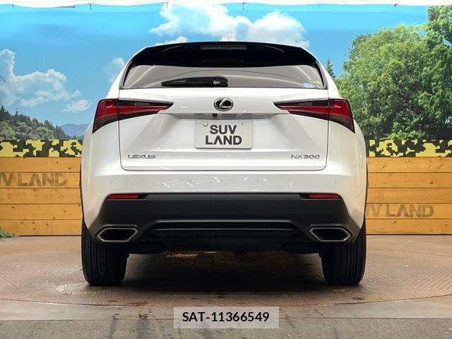 Lexus NX 2018-04 8361739-15