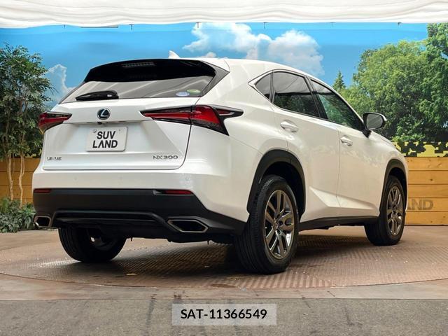 Lexus NX 2018-04 8361739-17