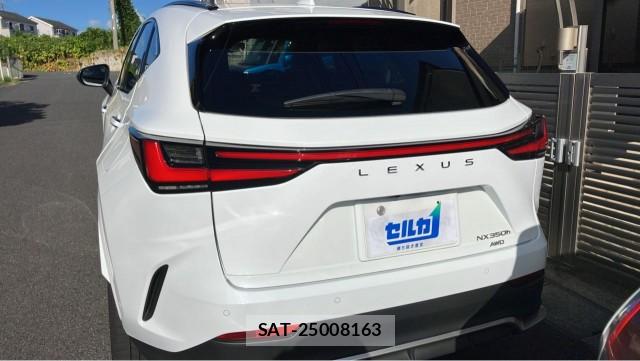 Lexus NX 2024-11 8362261-1