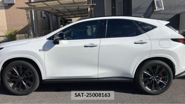 Lexus NX 2024-11 8362261-10