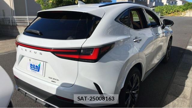 Lexus NX 2024-11 8362261-12