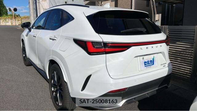 Lexus NX 2024-11 8362261-13