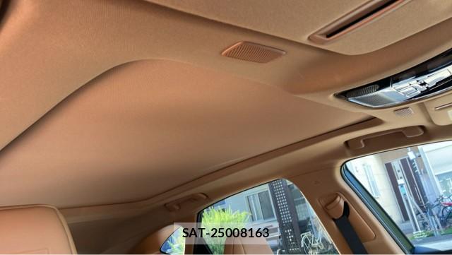Lexus NX 2024-11 8362261-15