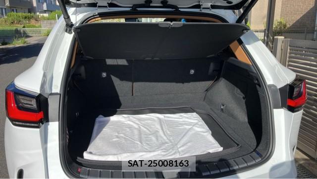 Lexus NX 2024-11 8362261-17