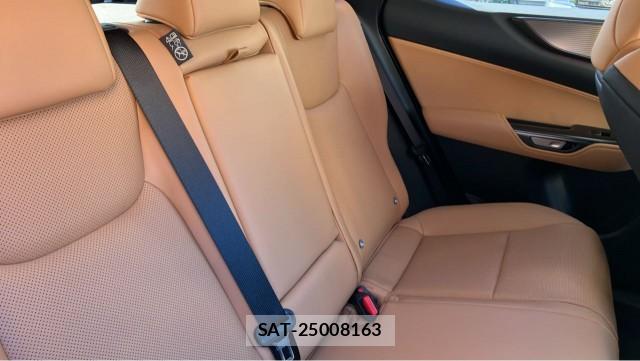 Lexus NX 2024-11 8362261-6