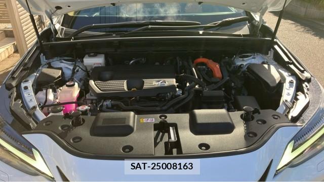 Lexus NX 2024-11 8362261-7