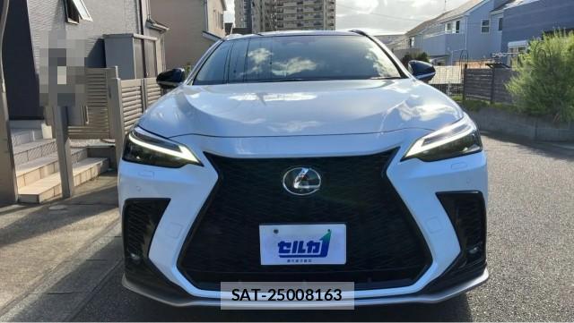 Lexus NX 2024-11 8362261-9
