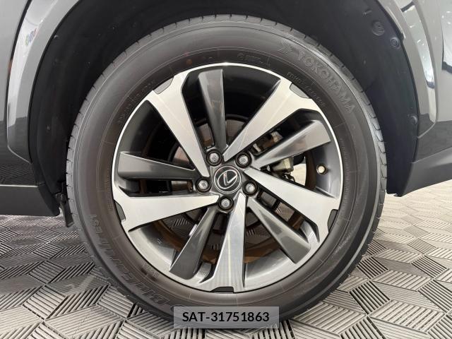 Lexus NX 2021-03 8362569-19