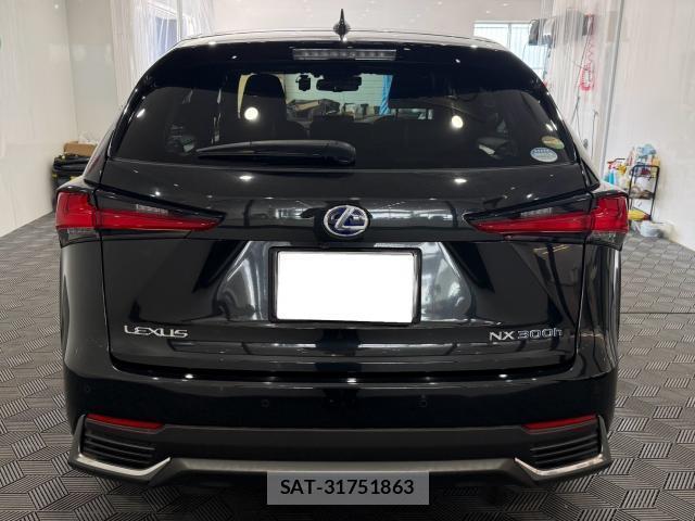 Lexus NX 2021-03 8362569-2