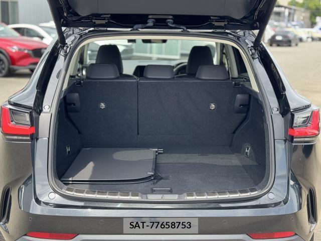 Lexus NX 2023-07 8362823-17