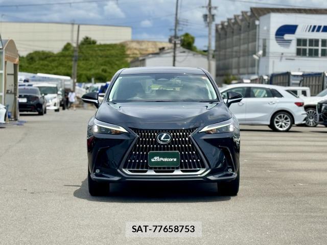 Lexus NX 2023-07 8362823-18
