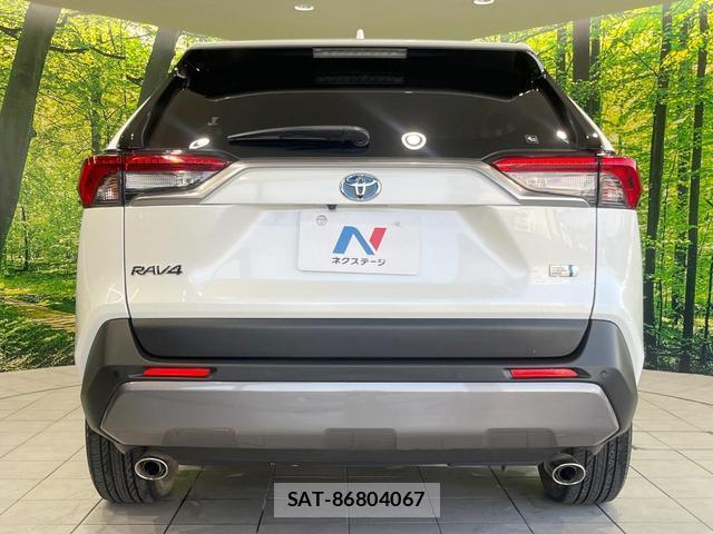 Toyota RAV4 2019-07 8361817-14