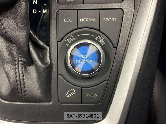 Toyota RAV4 2019-04 8362125-9