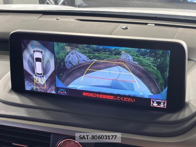 Lexus RX 2020-06 8361029-5