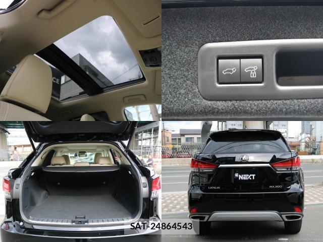 Lexus RX 2022-08 8362625-7