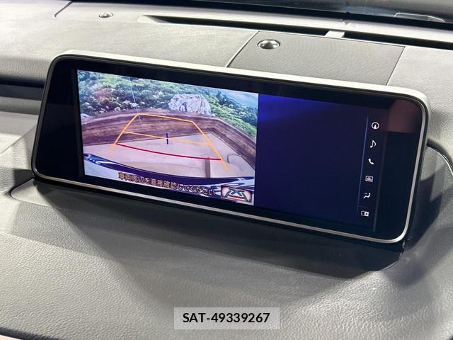Lexus RX 2017-02 8363153-4