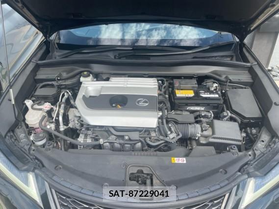 Lexus UX 2022-06 8362283-7