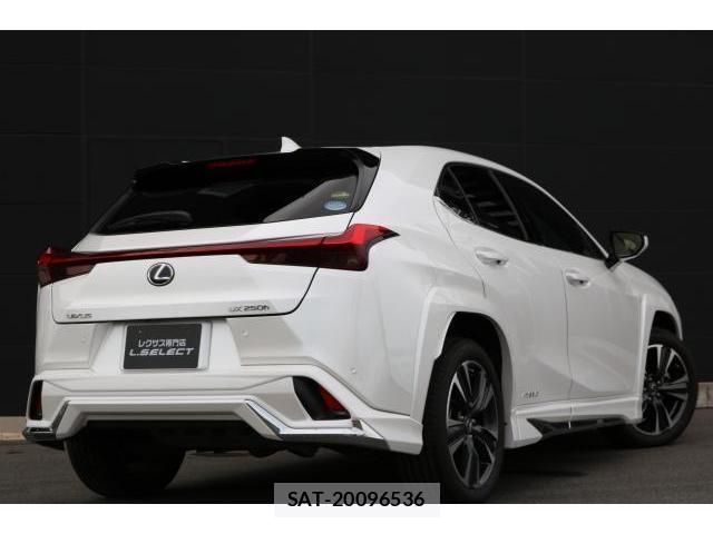 Lexus UX 2020-11 8363604-1