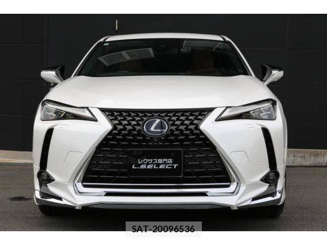 Lexus UX 2020-11 8363604-12