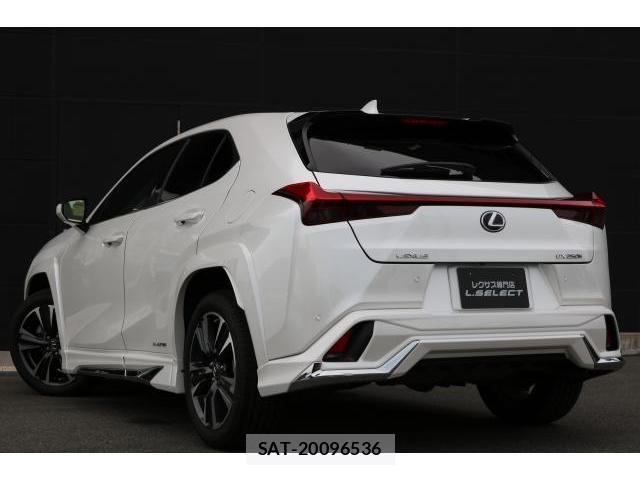 Lexus UX 2020-11 8363604-4