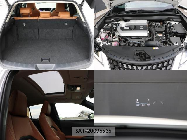 Lexus UX 2020-11 8363604-6