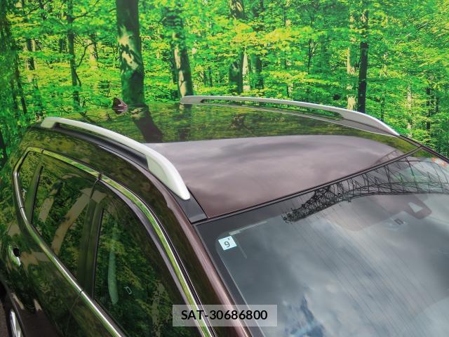 Nissan X-TRAIL 2019-09 8363824-6
