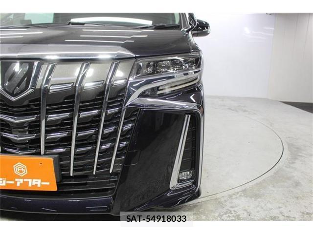 Toyota ALPHARD 2020-08 8373953-13