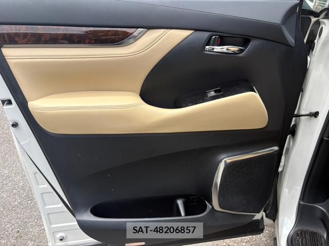 Toyota ALPHARD 2019-01 8373989-18