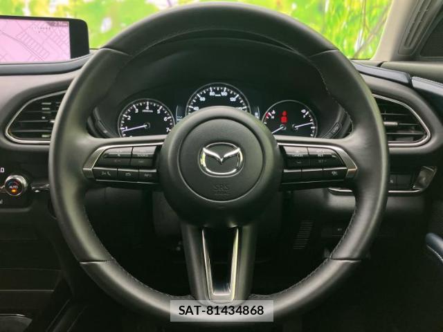 Mazda CX-30 2025-03 8374073-14
