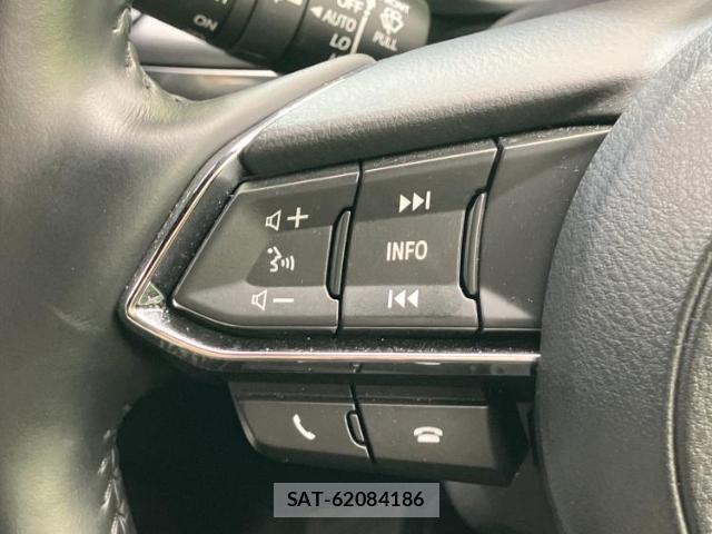 Mazda CX-8 2020-01 8374124-17