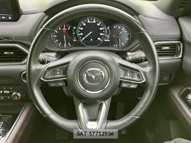 Mazda CX-8 2019-12 8374216-15