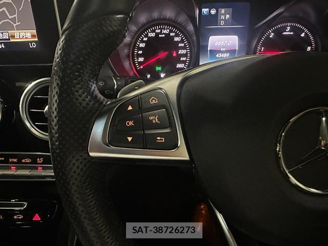 Mercedes Benz GLC-CLASS 2018-03 8373765-12