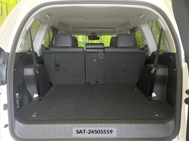Toyota LAND CRUISER PRADO 2021-04 8373924-10