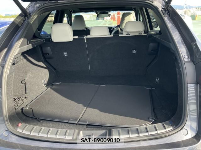 Lexus NX 2023-03 8372739-9