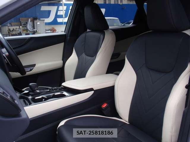 Lexus NX 2024-06 8373052-12