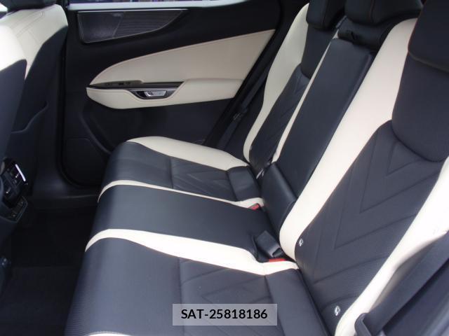 Lexus NX 2024-06 8373052-13