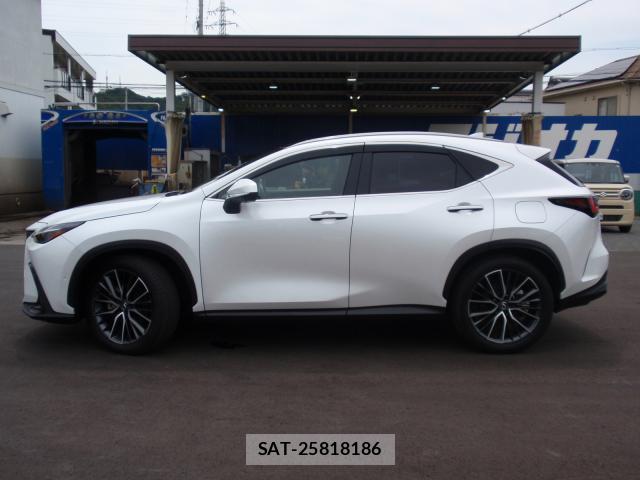 Lexus NX 2024-06 8373052-14