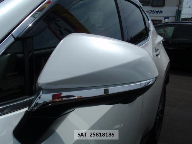 Lexus NX 2024-06 8373052-15