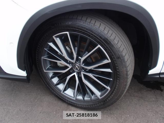 Lexus NX 2024-06 8373052-16