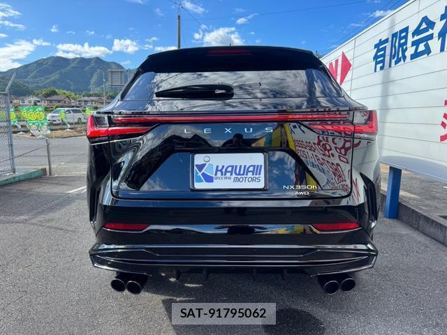 Lexus NX 2023-02 8373738-12
