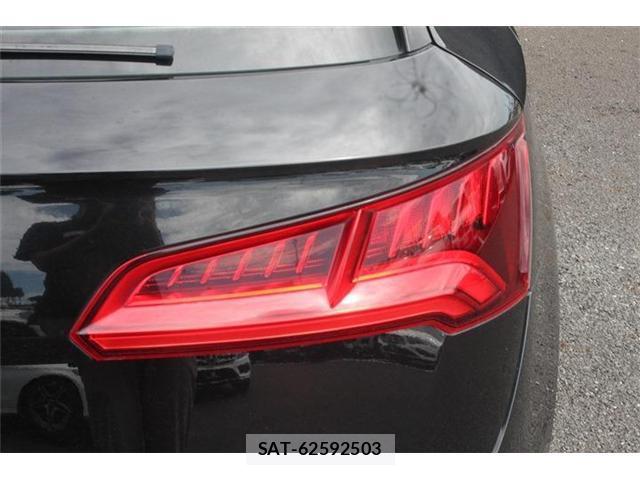Audi SQ5 2018-04 8373549-10