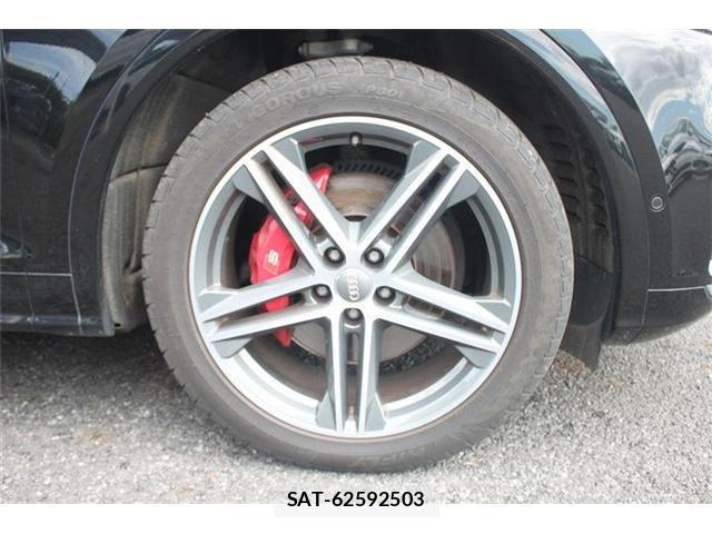 Audi SQ5 2018-04 8373549-12