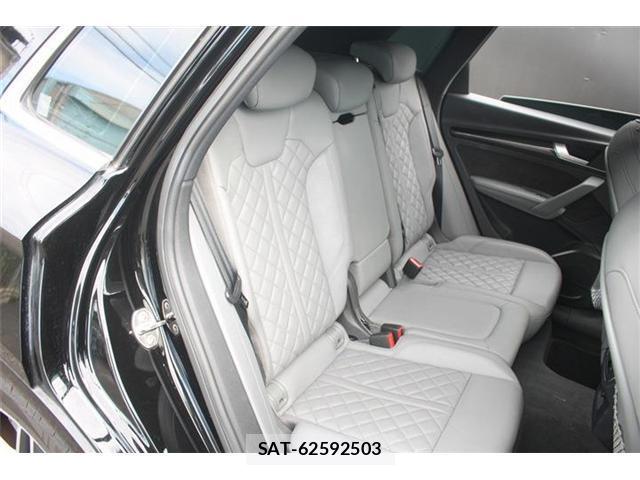 Audi SQ5 2018-04 8373549-17