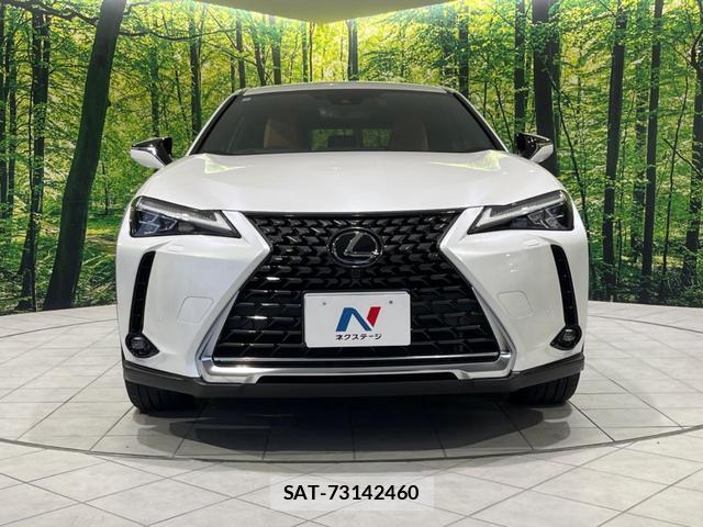 Lexus UX 2023-08 8372686-13