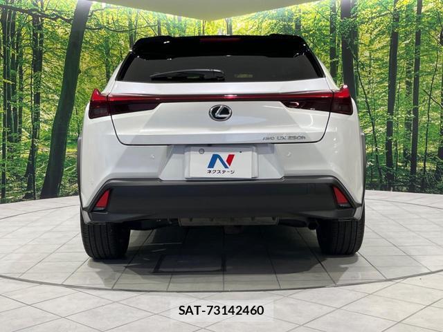 Lexus UX 2023-08 8372686-14
