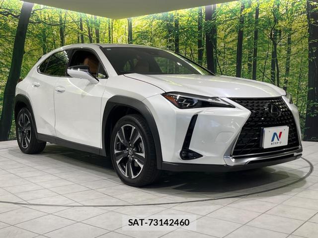 Lexus UX 2023-08 8372686-15