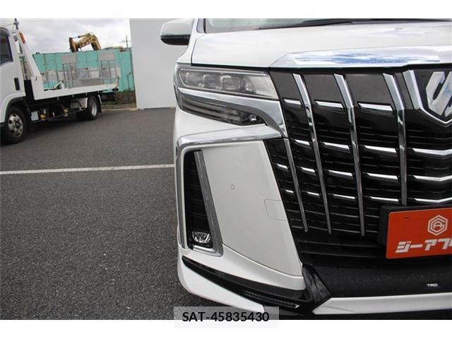 Toyota ALPHARD 2019-11 8379651-12